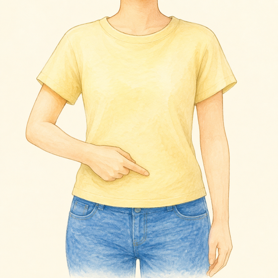 Ilustración de barriga