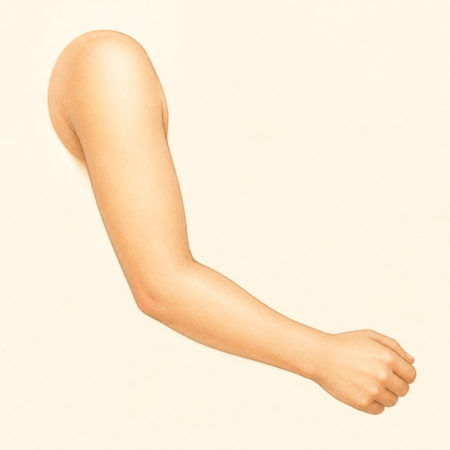 Ilustración de brazo
