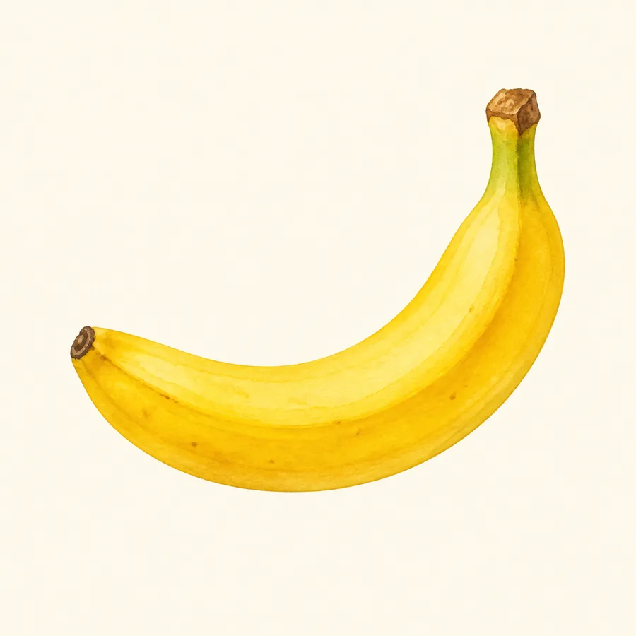 Ilustración de plátano